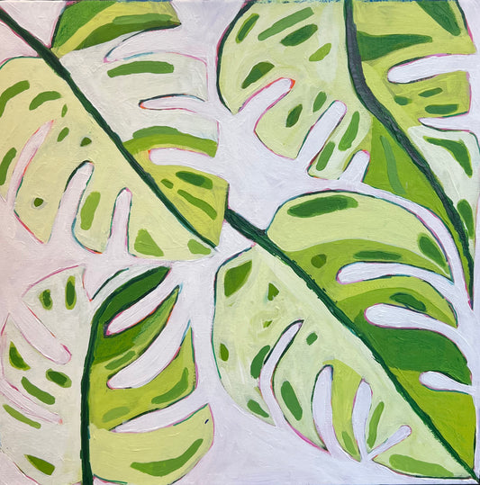 Monstera